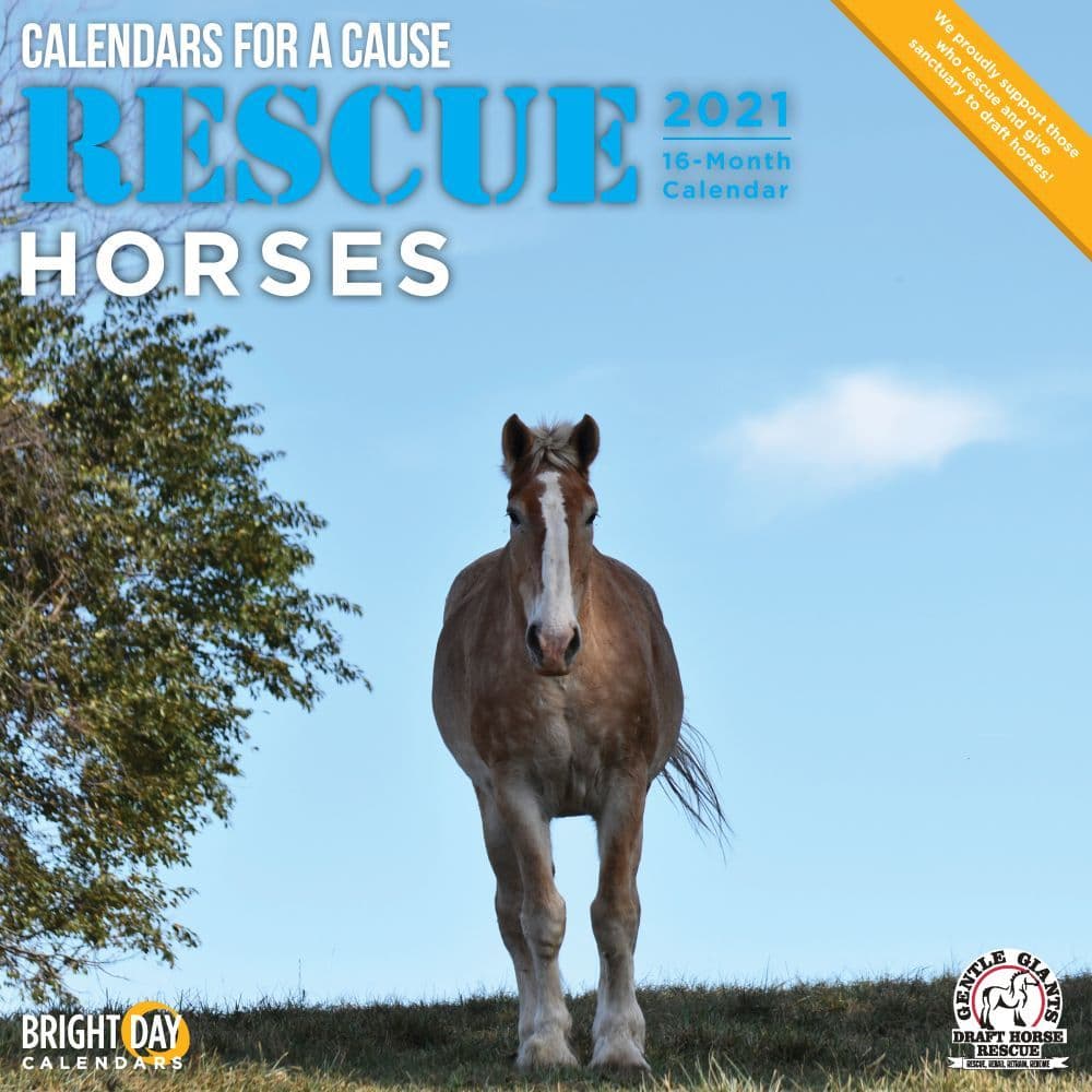 Horses Rescue Wall Calendar