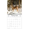 image White Tailed Deer 2025 Wall Calendar Second Alternate Image