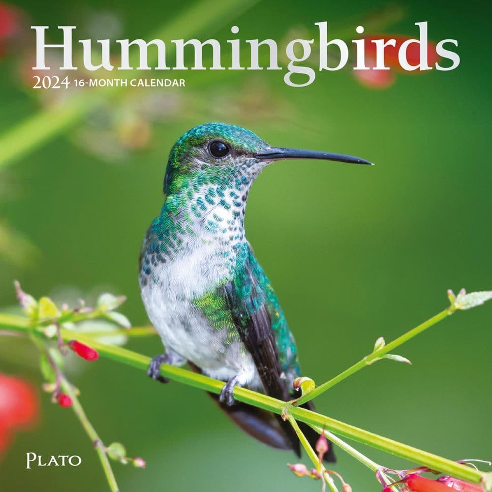 2024 Hummingbird Calendar Jeane Melony