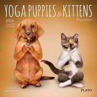image Yoga Puppies and Kittens 2026 Mini Wall Calendar Main Product Image