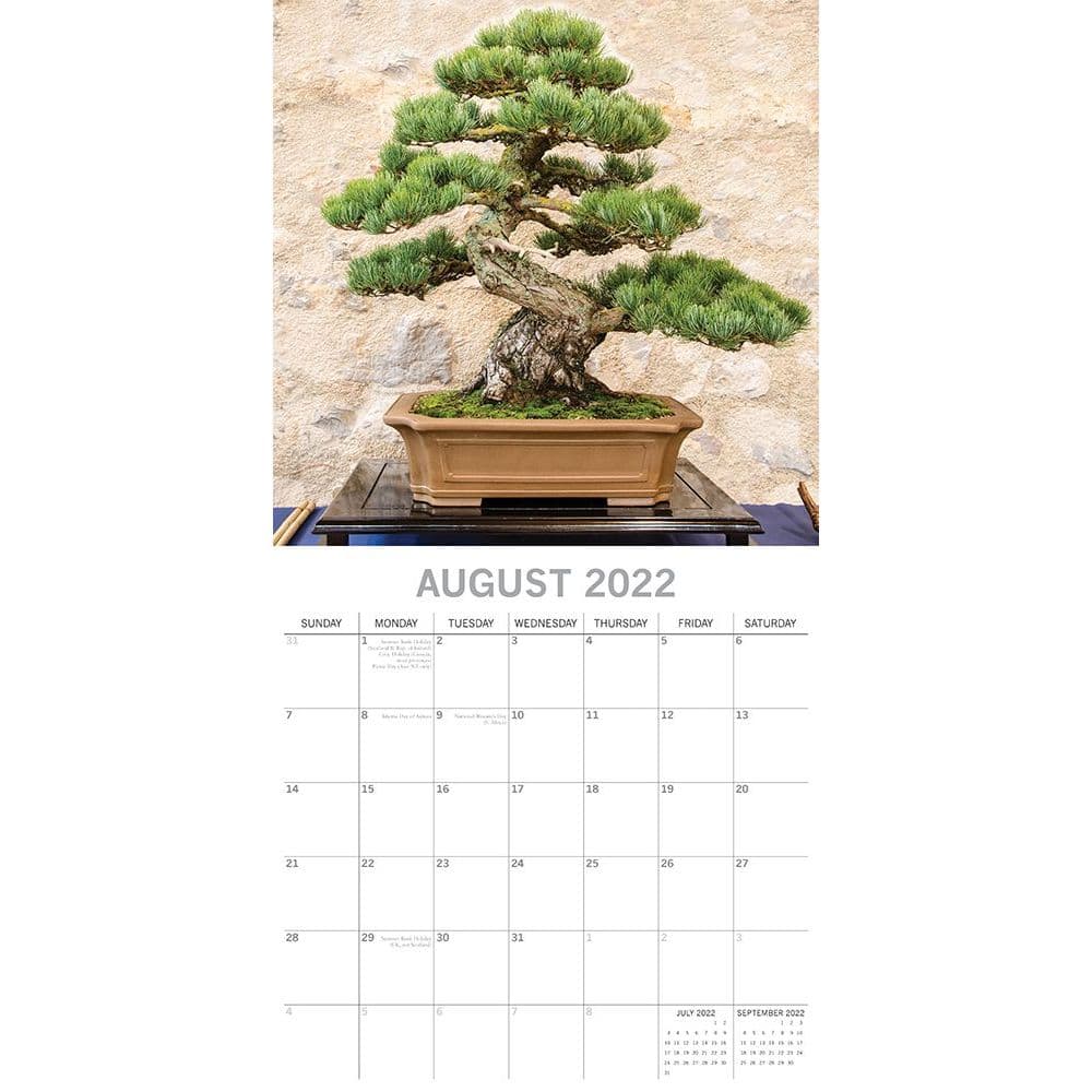 Bonsai 2022 Wall Calendar Calendars Com