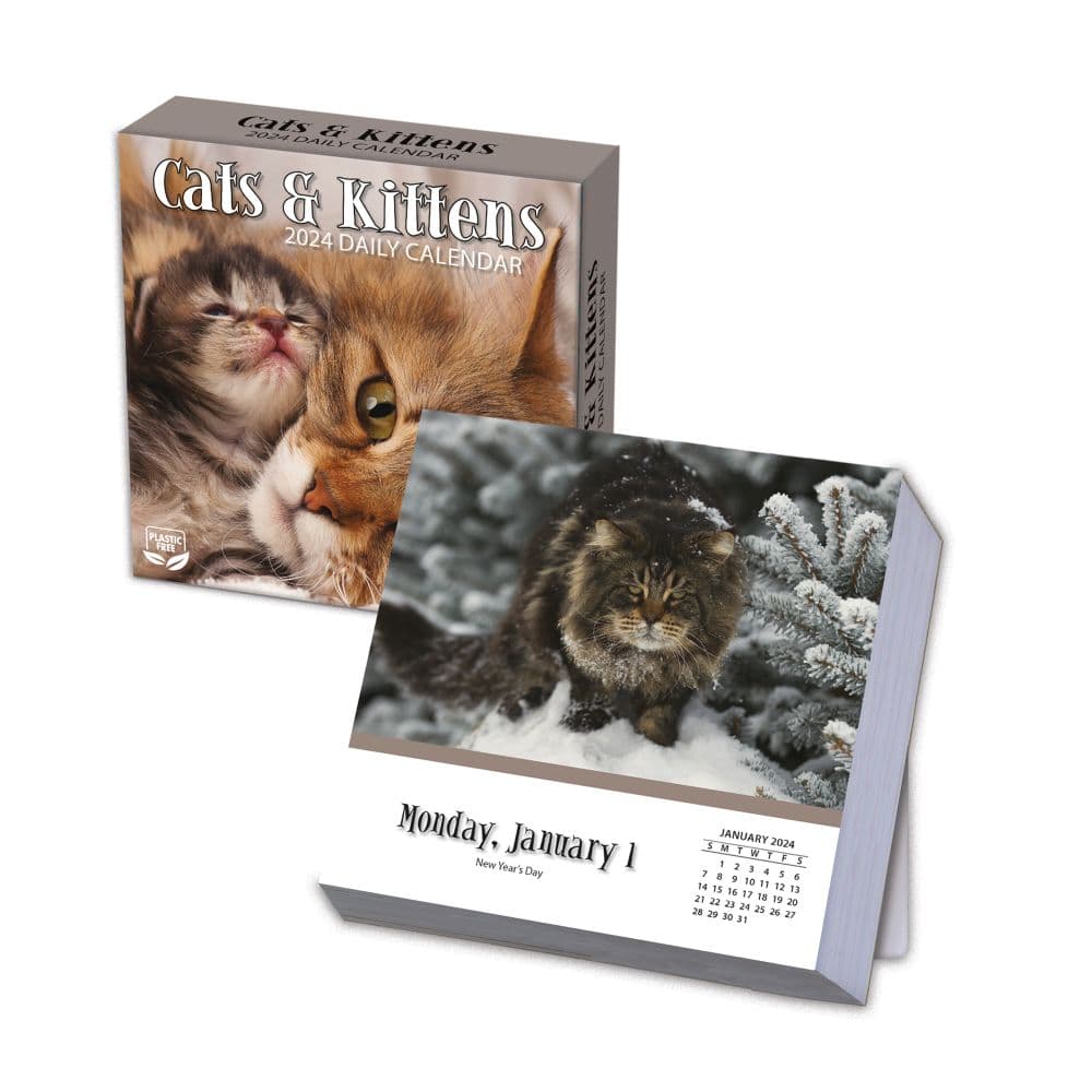 Cats And Kittens 2024 Desk Calendar First Alternate Image width=&quot;1000&quot; height=&quot;1000&quot;