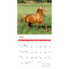 image Horses 2025 Wall Calendar Third Alternate Image width=&quot;1000&quot; height=&quot;1000&quot;