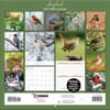 image Songbirds 2027 Wall Calendar First Alternate Image