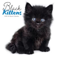 image Black Kitties 2026 Wall Calendar Main Image