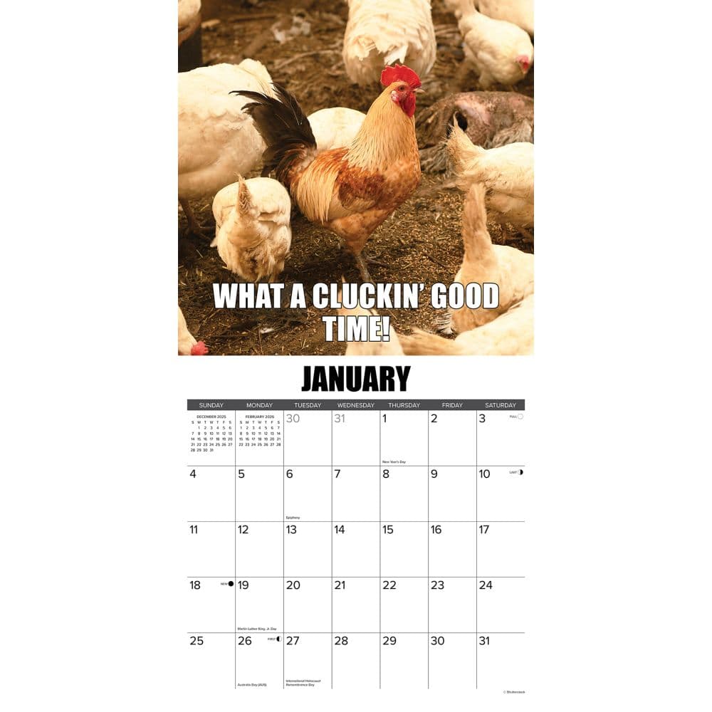 No Clucks Given 2026 Wall Calendar Second Alternate Image