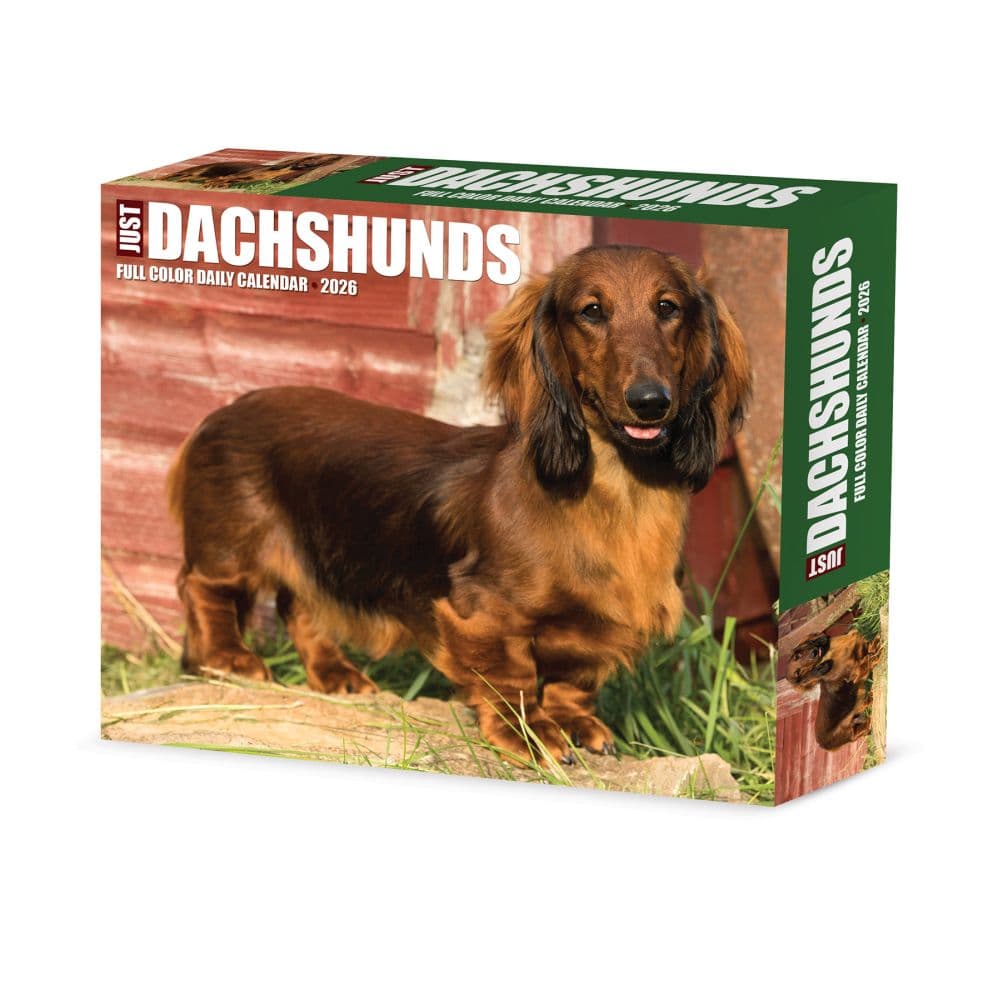 Just Dachshunds 2026 Desk Calendar  Main Image
