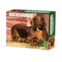 image Just Dachshunds 2026 Desk Calendar  Main Image