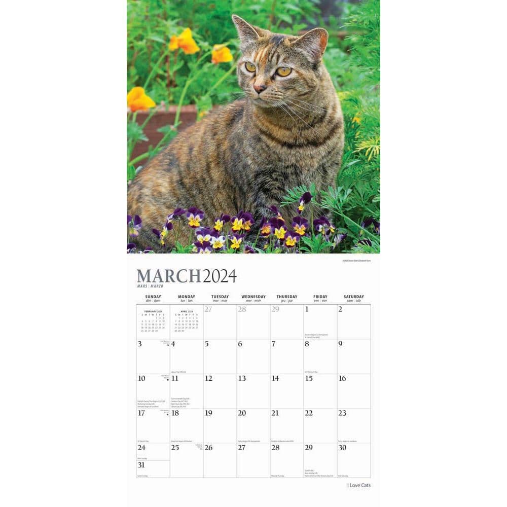 I Love Cats 2024 Wall Calendar Alternate Image 2