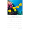 image Under the Sea 2025 Wall Calendar