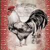 image Cardinal Rooster Large Recipe Album by Susan Winget Alternate Image 1