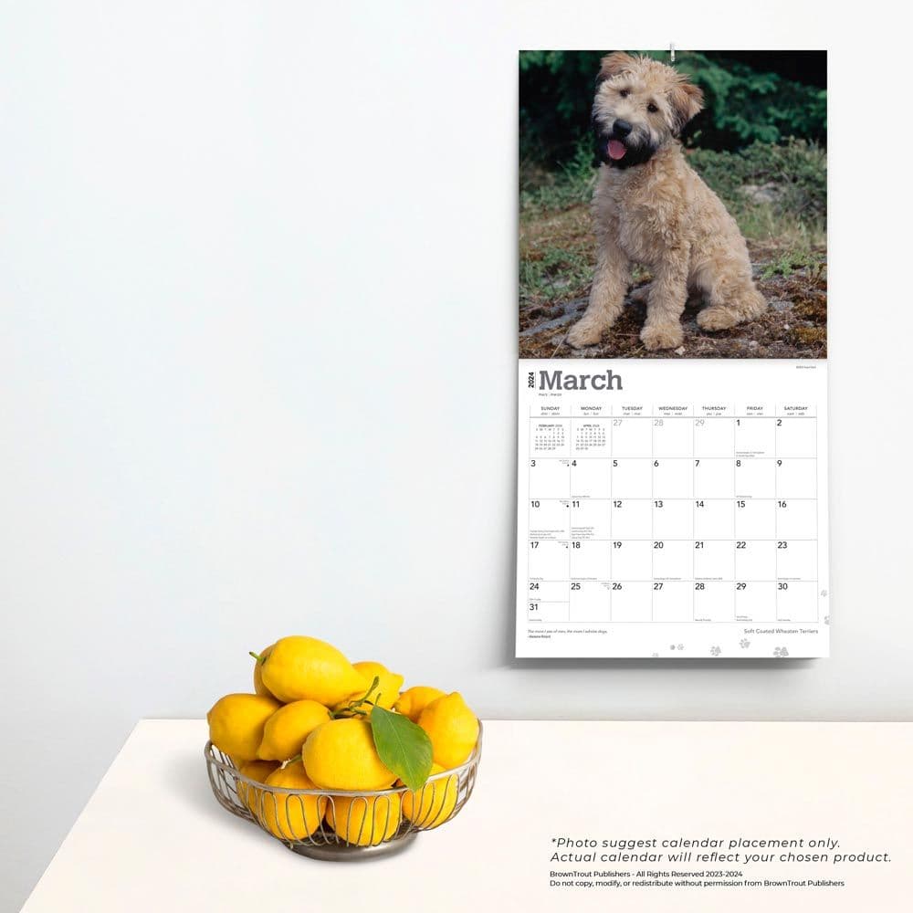 Wheaten Terriers Soft Coated 2024 Wall Calendar