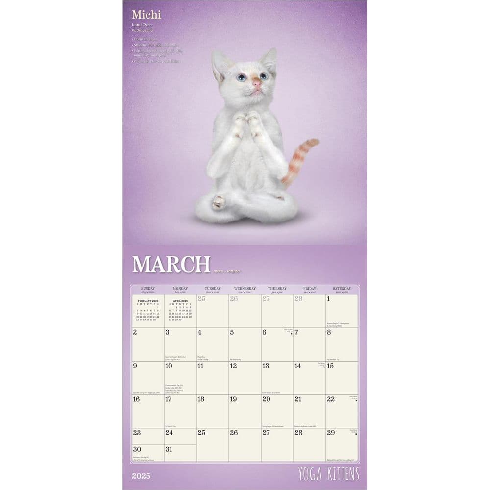 Yoga Kittens Plato 2025 Wall Calendar Second Alternate Image