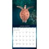 image Sea Turtles 2026 Wall Calendar