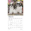 image Shih Tzu Puppies 2025 Mini Wall Calendar