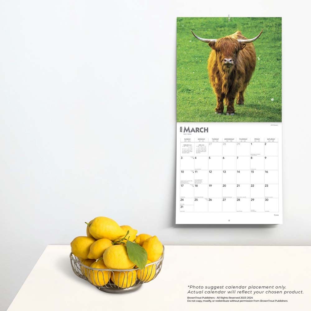 Cows 2024 Wall Calendar