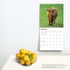 image Cows 2024 Wall Calendar Third Alternate Image width=&quot;1000&quot; height=&quot;1000&quot;