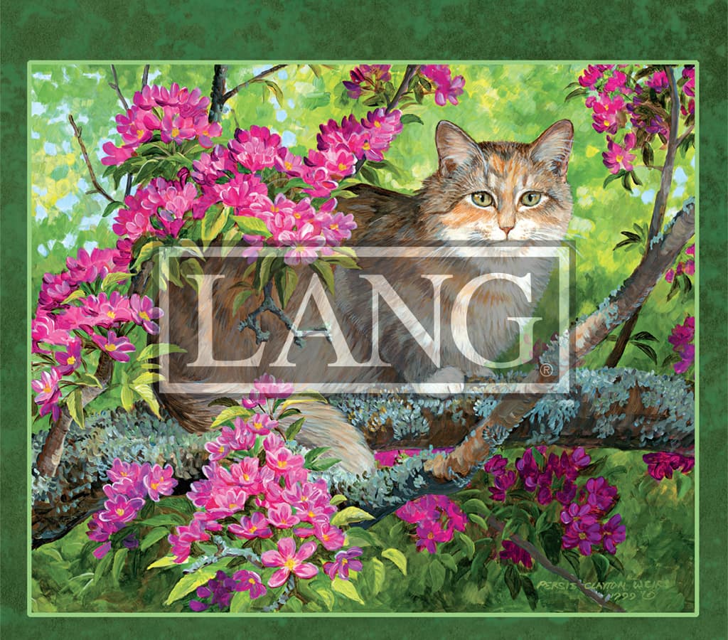 Love Of Cats 21 Desktop Wallpaper Calendars Com