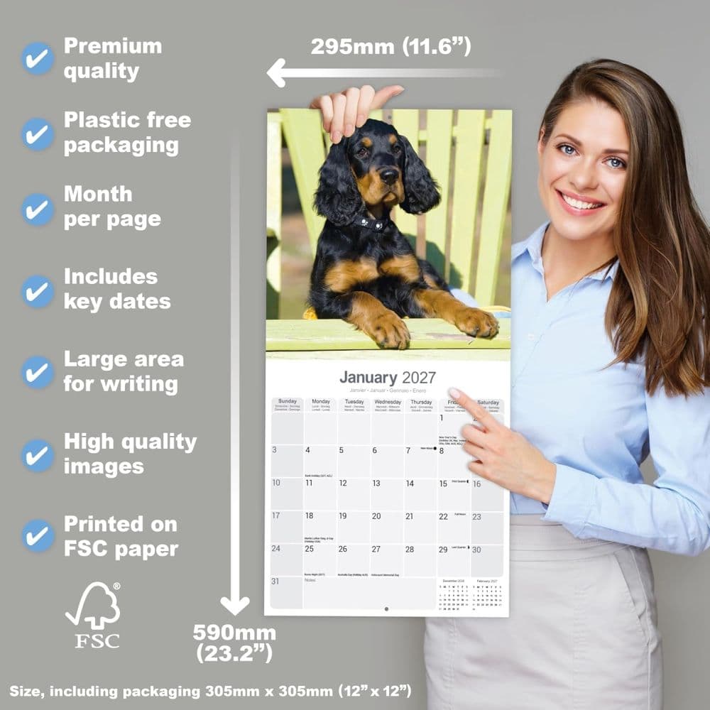 Gordon Setter 2027 Wall Calendar Fifth Alternate Image
