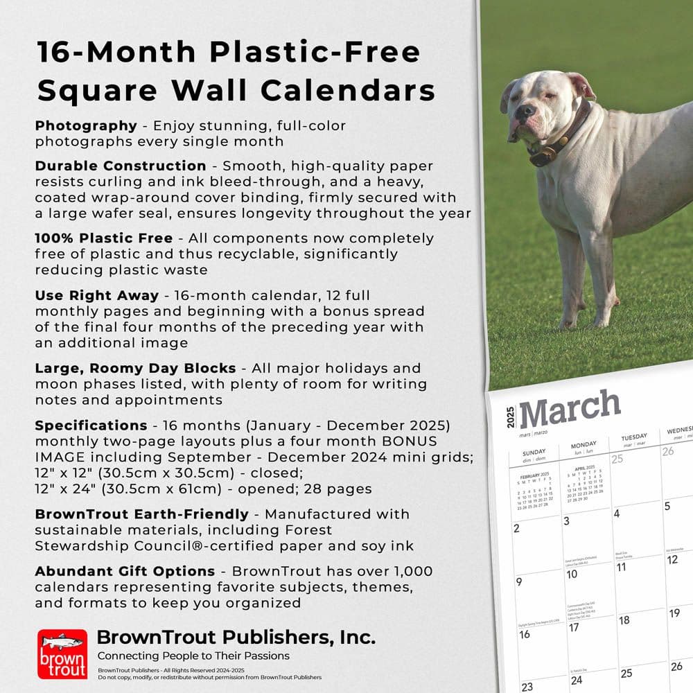 American Bulldogs 2025 Wall Calendar Fifth Alternate Image width=&quot;1000&quot; height=&quot;1000&quot;