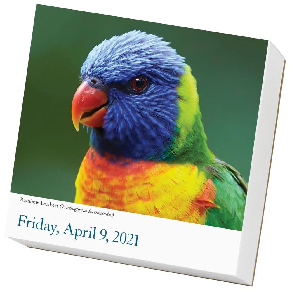 Audubon Birds Desk Calendar