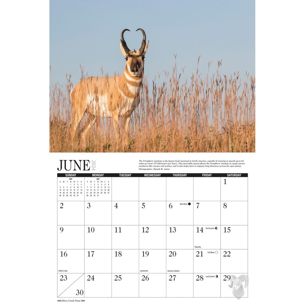 2025 Calendar Horn And Antlers