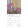 image Rocky Mountain Wilderness 2025 Mini Wall Calendar