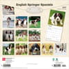 image English Springer Spaniels 2027 Wall Calendar First Alternate Image