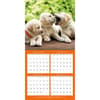 image Puppies Playful Photo 2024 Mini Wall Calendar Third Alternate 
Image width=&quot;1000&quot; height=&quot;1000&quot;