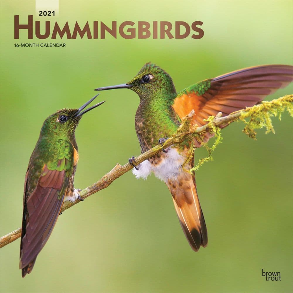 Hummingbirds Wall Calendar