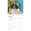 image Puppies 2024 Wall Calendar