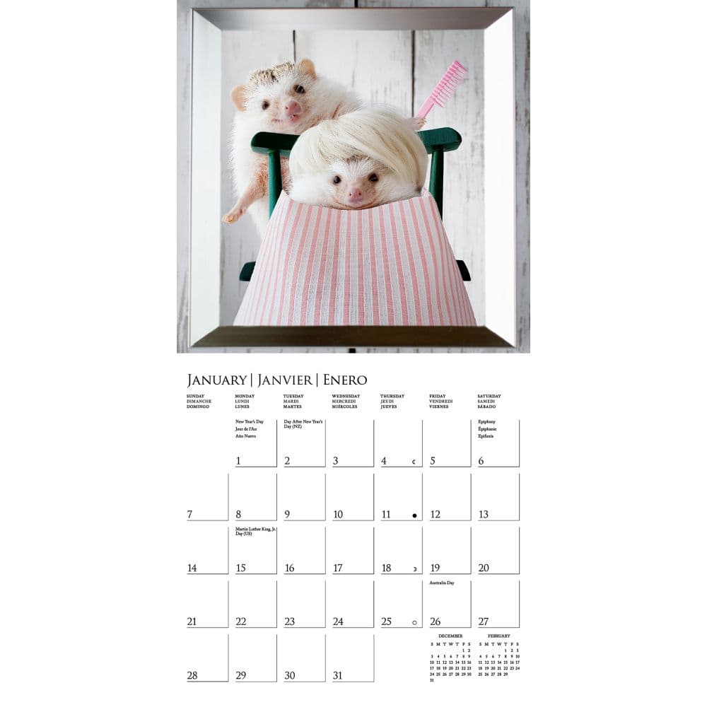 Happiest Hedgehogs 2024 Mini Wall Calendar