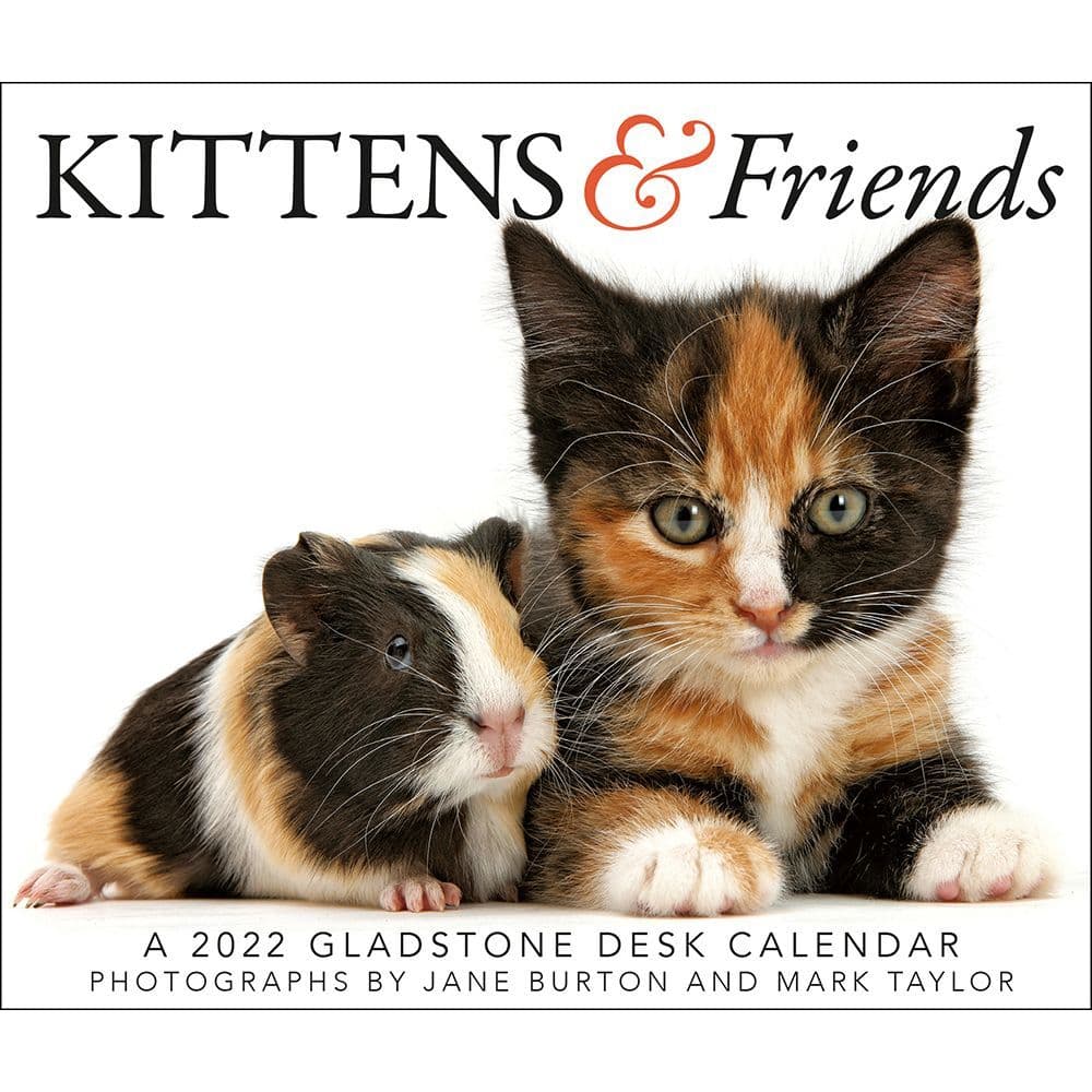 Kittens And Friends 2022 Desk Calendar