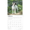 image Jack Russell Terriers 2025 Wall Calendar Second Alternate Image width=&quot;1000&quot; height=&quot;1000&quot;