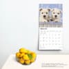 image West Highland White Terrier Puppies 2025 Wall Calendar Fourth Alternate Image