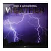 image Wild & Wonderful Weather 2026 Mini Wall Calendar