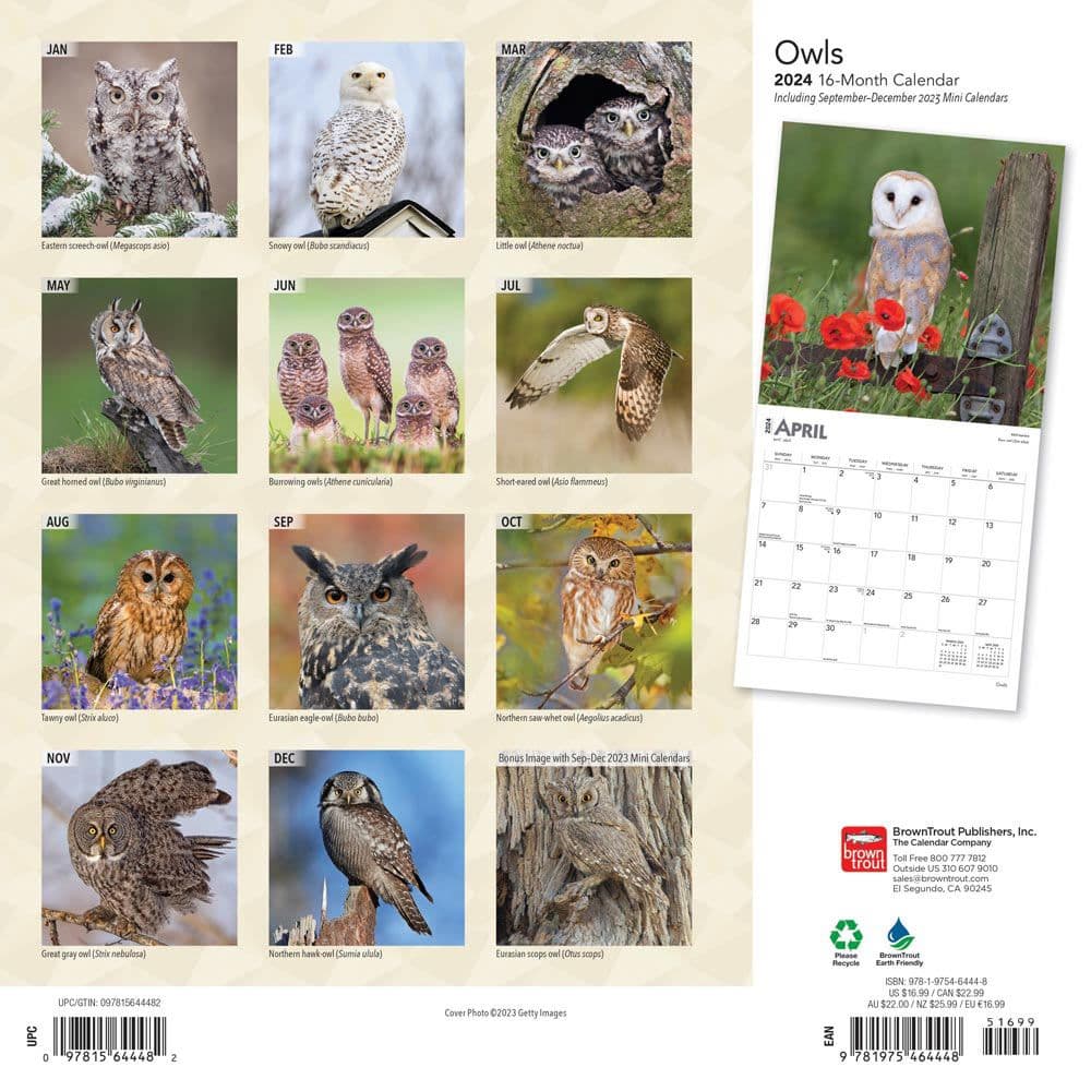 Owls 2025 Wall Calendar