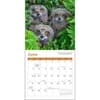 image Owls 2026 Mini Wall Calendar Third Alternate Image