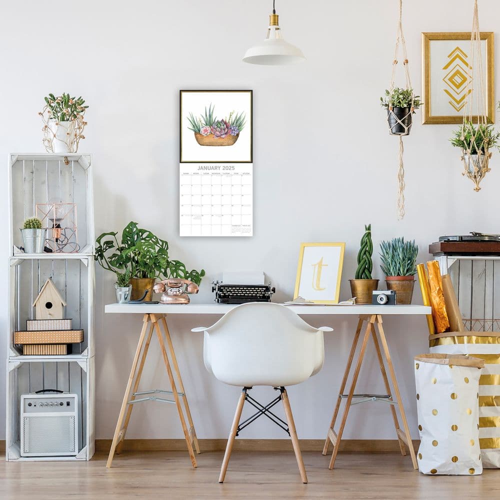 Succulents 2025 Wall Calendar - Calendars.com