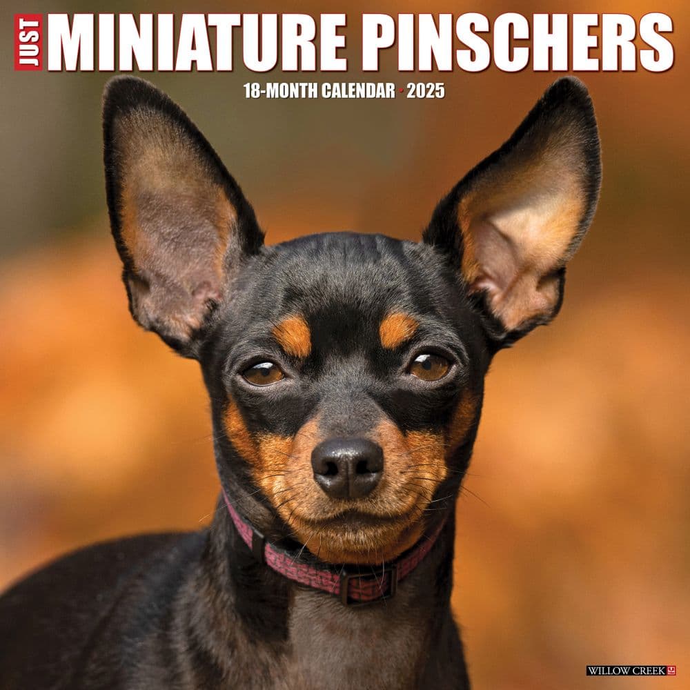 image Just Miniature Pinschers 2025 Wall Calendar Main Image