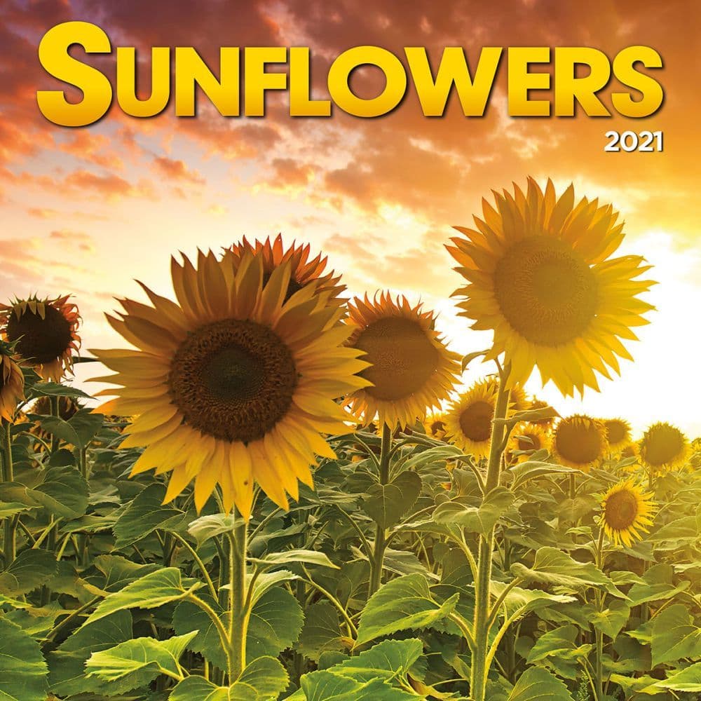 Sunflowers Wall Calendar