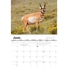image Rocky Mountain 2024 Wall Calendar Second Alternate Image