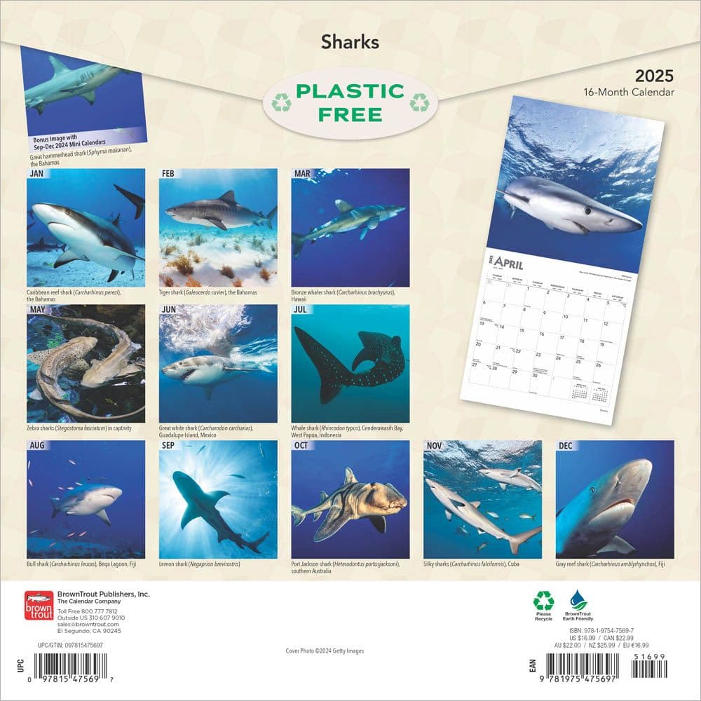 Sharks 2025 Wall Calendar First Alternate Image