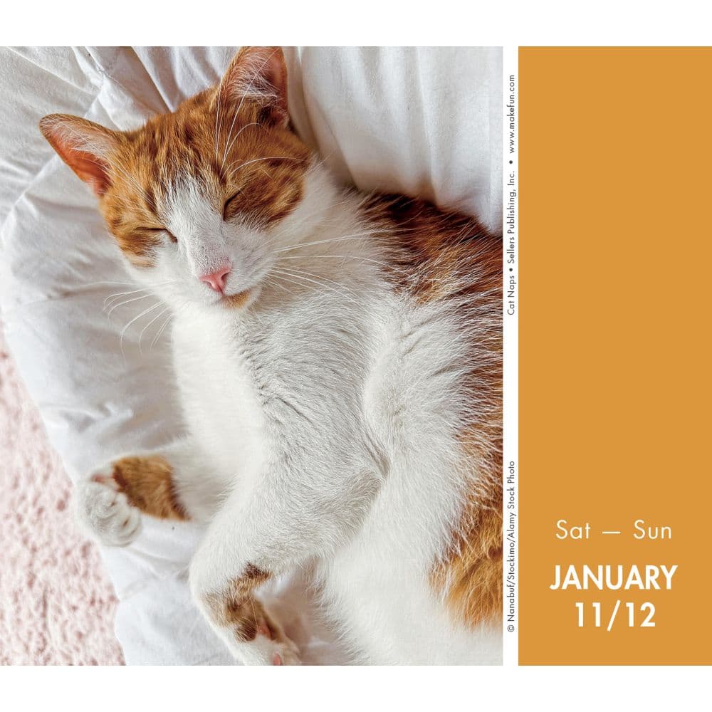 Cat Naps 2025 Desk Calendar Second Alternate Image width=&quot;1000&quot; height=&quot;1000&quot;