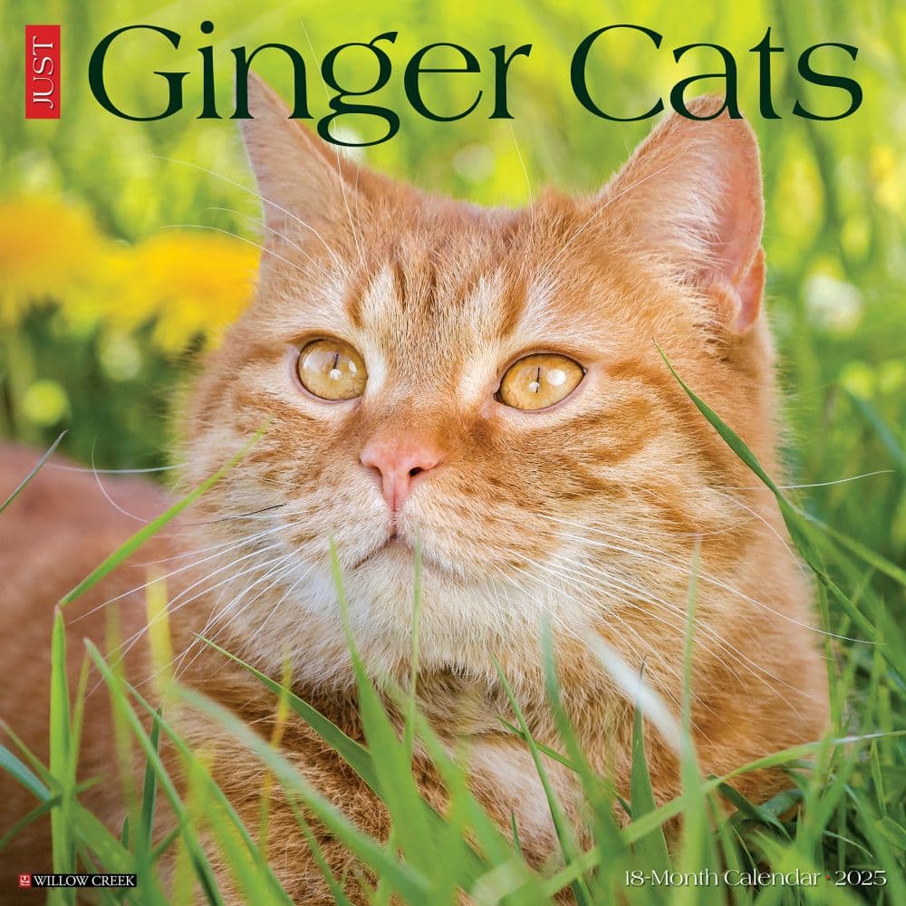 image Ginger Cats 2025 Wall Calendar  Main Image