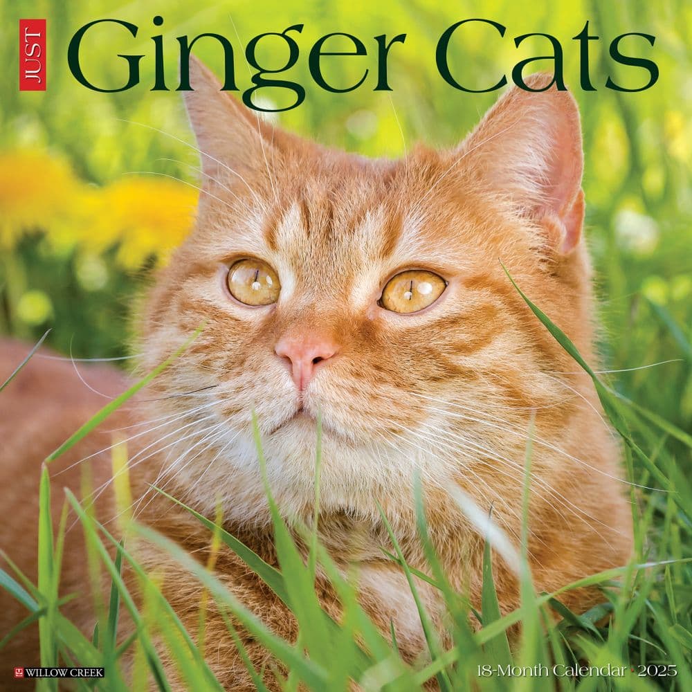 Ginger Calendar 2025