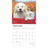 image Kittens and Puppies 2025 Wall Calendar Third Alternate Image