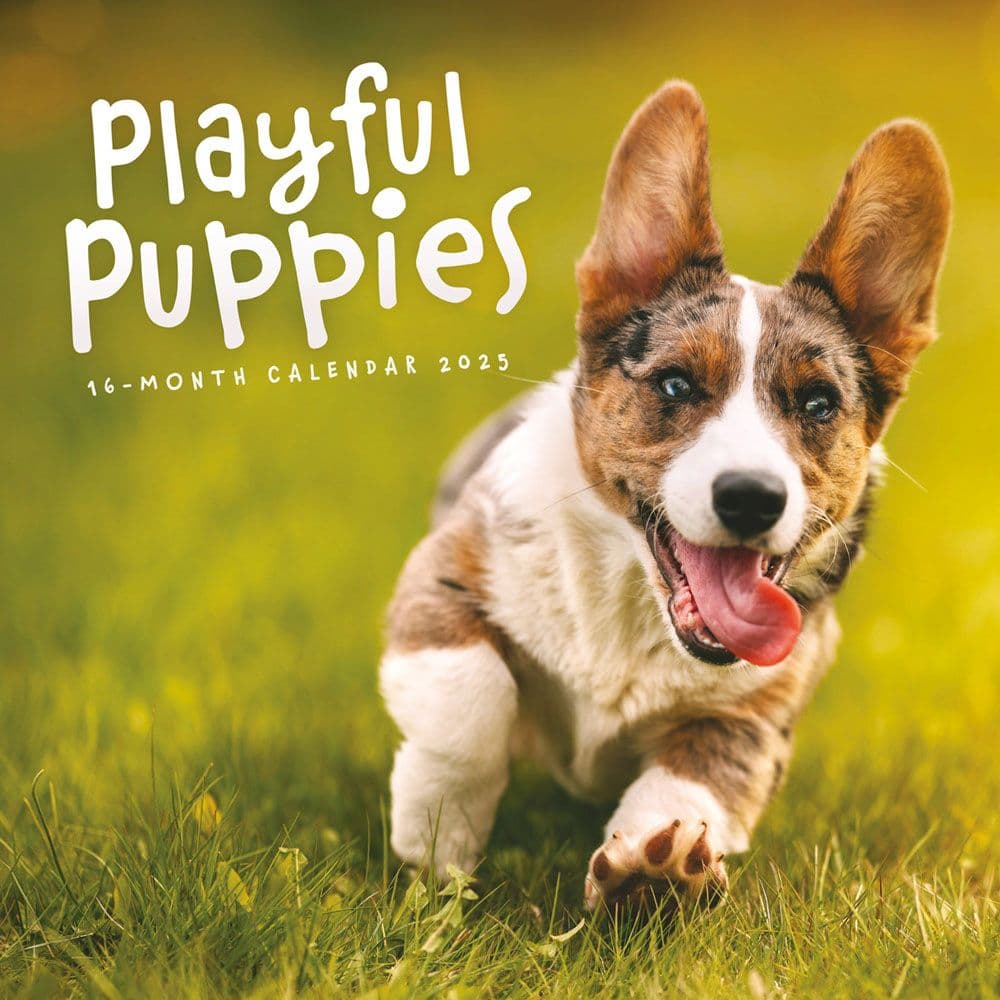 Playful Puppies 2025 Wall Calendar  Main Image