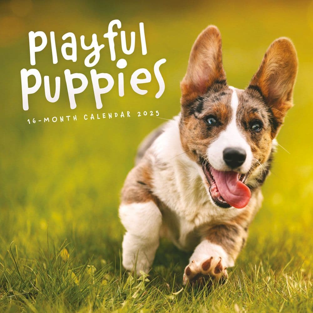 image Playful Puppies 2025 Wall Calendar  Main Image