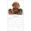 image Puppies and Friends 2025 Wall Calendar Third Alternate Image width=&quot;1000&quot; height=&quot;1000&quot;